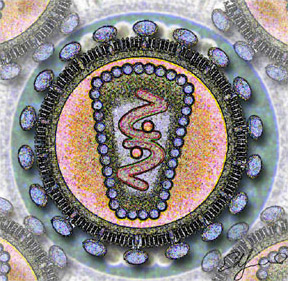 Human_Immunodeficency_Virus_-_stylized_rendering HIV Stylized Rendering