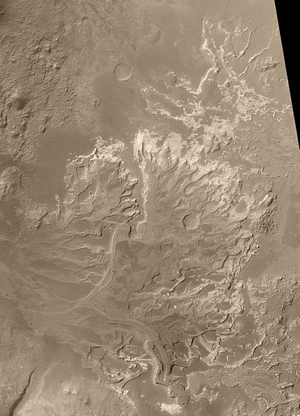 River Delta on Mars